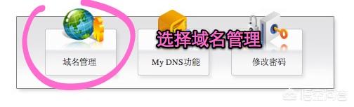 新网域名修改DNS图文教程 网络技术 第2张