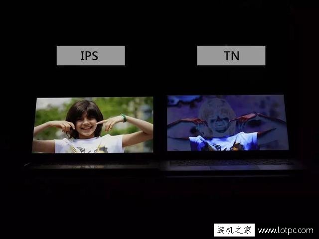 笔记本电脑IPS屏和TN屏有什么区别？IPS屏和TN屏哪个好？ 电脑基础 第6张