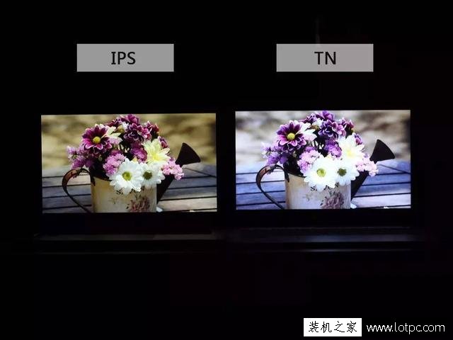 笔记本电脑IPS屏和TN屏有什么区别？IPS屏和TN屏哪个好？ 电脑基础 第3张