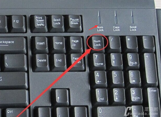 教您电脑小键盘解锁方法 网络技术 第1张